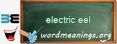 WordMeaning blackboard for electric eel